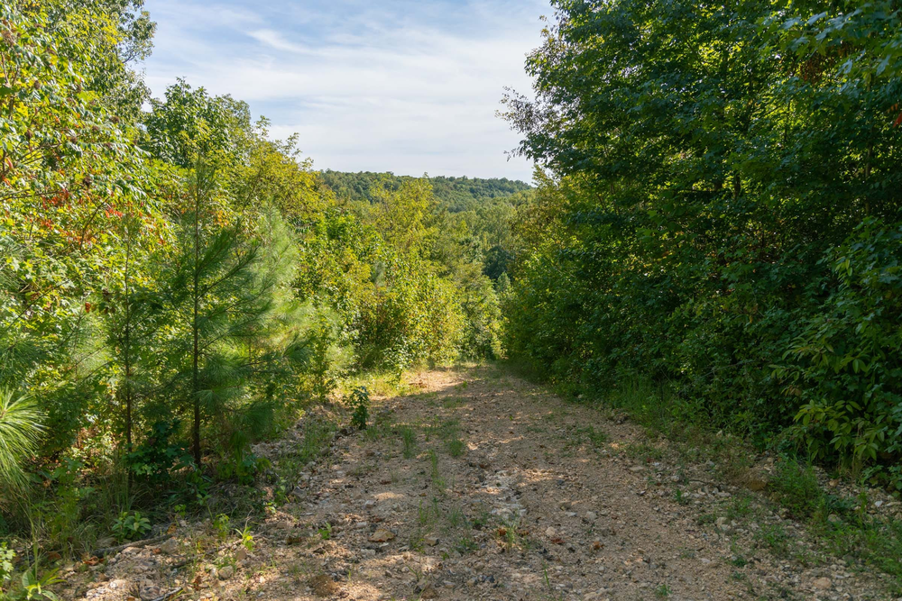 5.76 acre rural land tract for sale at Big White Oak Tract 38 in Perry County, Tennessee