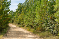 property photo for Big White Oak Tract 40, 5.21 acres for sale in Perry County, Tennessee