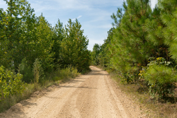 property photo for Big White Oak Tract 40, 5.21 acres for sale in Perry County, Tennessee