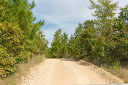 property photo for Big White Oak Tract 40, 5.21 acres for sale in Perry County, Tennessee