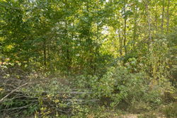 property photo for Big White Oak Tract 40, 5.21 acres for sale in Perry County, Tennessee