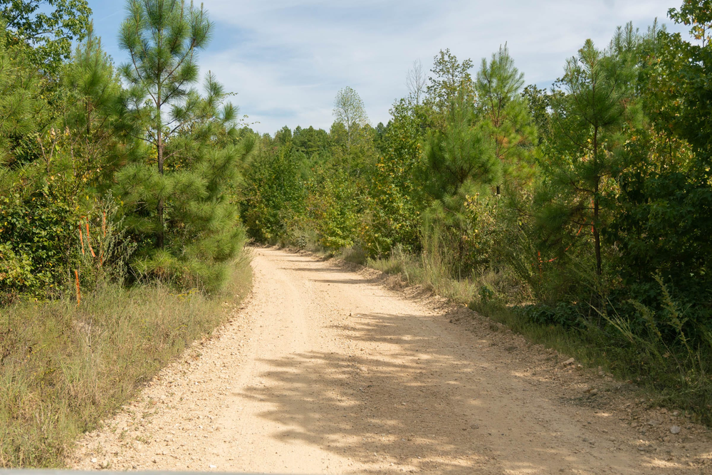 5.21 acre rural land tract for sale at Big White Oak Tract 40 in Perry County, Tennessee