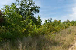 property photo for Big White Oak Tract 42, 10.72 acres for sale in Perry County, Tennessee