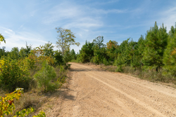 property photo for Big White Oak Tract 42, 10.72 acres for sale in Perry County, Tennessee