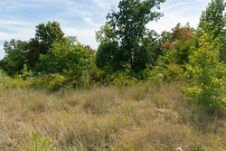 property photo for Big White Oak Tract 42, 10.72 acres for sale in Perry County, Tennessee