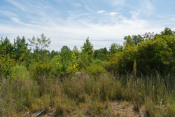 property photo for Big White Oak Tract 42, 10.72 acres for sale in Perry County, Tennessee