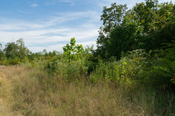 property photo for Big White Oak Tract 42, 10.72 acres for sale in Perry County, Tennessee