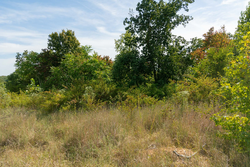 property photo for Big White Oak Tract 42, 10.72 acres for sale in Perry County, Tennessee