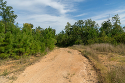 property photo for Big White Oak Tract 42, 10.72 acres for sale in Perry County, Tennessee