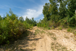property photo for Big White Oak Tract 43, 10.05 acres for sale in Perry County, Tennessee