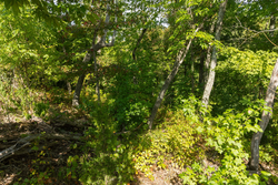 property photo for Big White Oak Tract 43, 10.05 acres for sale in Perry County, Tennessee