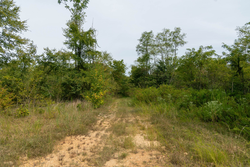 property photo for Big White Oak Tract 44, 13.9 acres for sale in Perry County, Tennessee