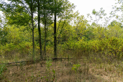 property photo for Big White Oak Tract 44, 13.9 acres for sale in Perry County, Tennessee