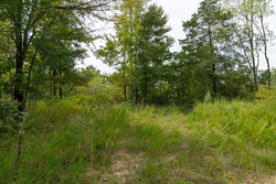 property photo for Big White Oak Tract 44, 13.9 acres for sale in Perry County, Tennessee