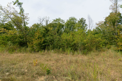 property photo for Big White Oak Tract 44, 13.9 acres for sale in Perry County, Tennessee