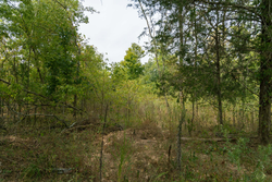 property photo for Big White Oak Tract 44, 13.9 acres for sale in Perry County, Tennessee