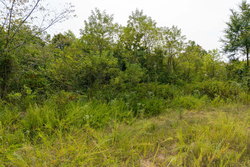 property photo for Big White Oak Tract 44, 13.9 acres for sale in Perry County, Tennessee
