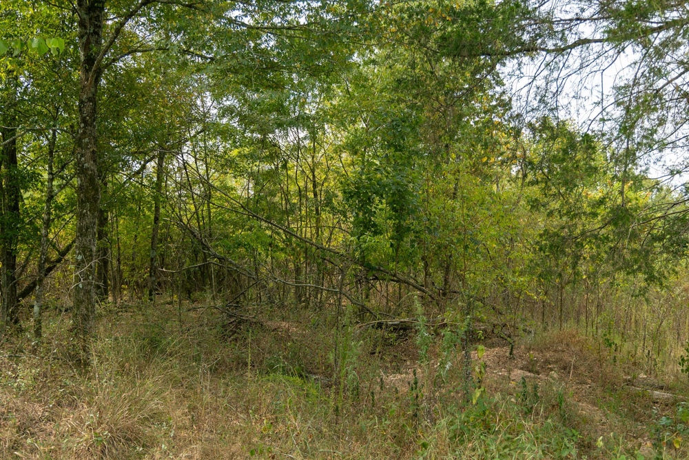 13.9 acre rural land tract for sale at Big White Oak Tract 44 in Perry County, Tennessee
