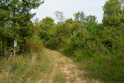 property photo for Big White Oak Tract 46, 7.17 acres for sale in Perry County, Tennessee