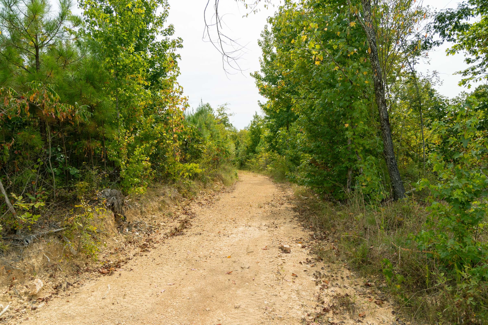 7.17 acre rural land tract for sale at Big White Oak Tract 46 in Perry County, Tennessee