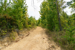 property photo for Big White Oak Tract 46, 7.17 acres for sale in Perry County, Tennessee