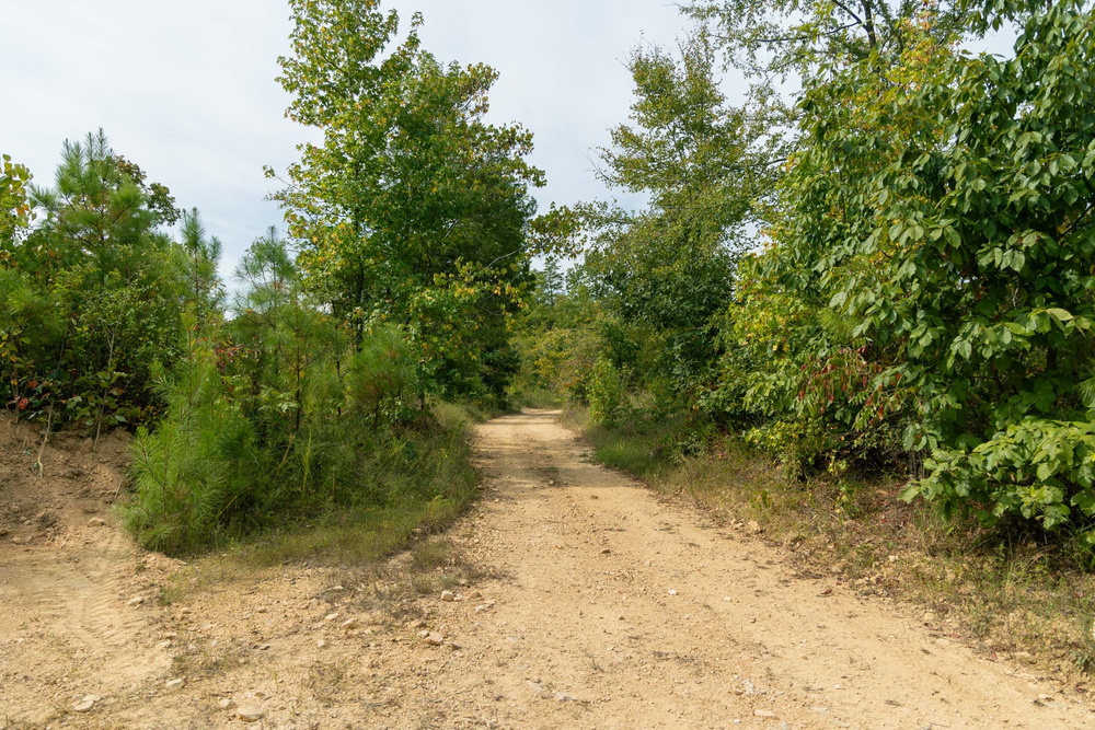 8.43 acre rural land tract for sale at Big White Oak Tract 47 in Perry County, Tennessee