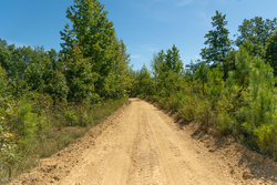 property photo for Big White Oak Tract 51, 9.43 acres for sale in Perry County, Tennessee