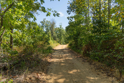 property photo for Big White Oak Tract 55, 13.56 acres for sale in Perry County, Tennessee