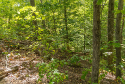 property photo for Big White Oak Tract 56, 6.25 acres for sale in Perry County, Tennessee