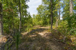 property photo for Big White Oak Tract 56, 6.25 acres for sale in Perry County, Tennessee