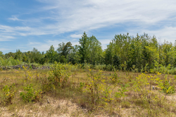 property photo for Big White Oak Tract 56, 6.25 acres for sale in Perry County, Tennessee