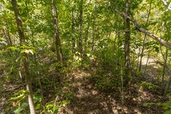 property photo for Big White Oak Tract 57, 12.25 acres for sale in Perry County, Tennessee