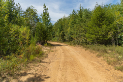 property photo for Big White Oak Tract 57, 12.25 acres for sale in Perry County, Tennessee