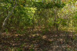 property photo for Big White Oak Tract 57, 12.25 acres for sale in Perry County, Tennessee