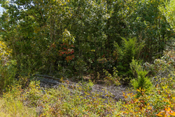 property photo for Big White Oak Tract 57, 12.25 acres for sale in Perry County, Tennessee