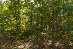 property photo for Big White Oak Tract 57, 12.25 acres for sale in Perry County, Tennessee