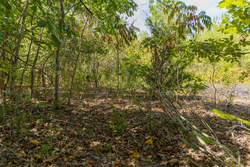 property photo for Big White Oak Tract 57, 12.25 acres for sale in Perry County, Tennessee