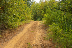 property photo for Big White Oak Tract 60, 8.1 acres for sale in Perry County, Tennessee