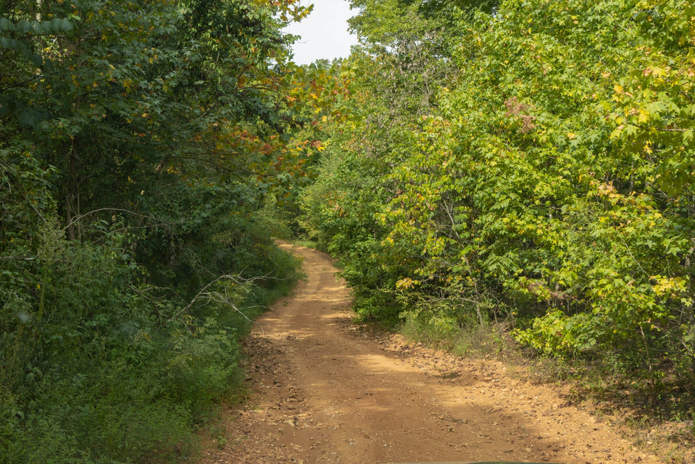 8.1 acre rural land tract for sale at Big White Oak Tract 60 in Perry County, Tennessee