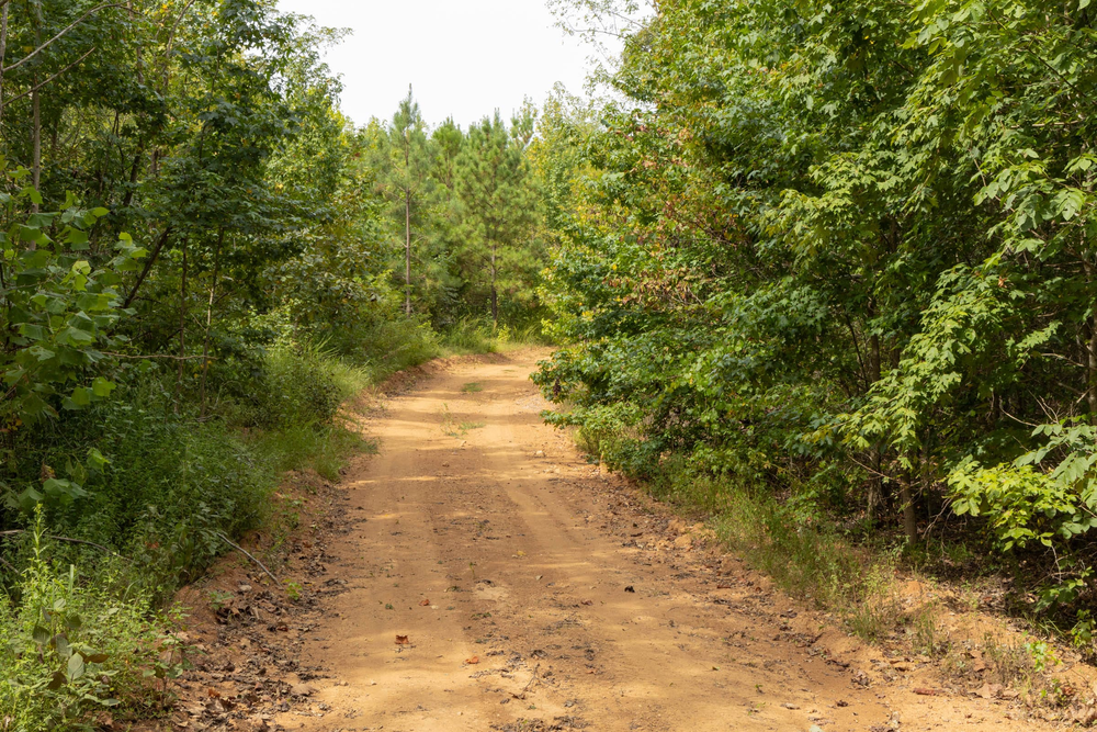 7.56 acre rural land tract for sale at Big White Oak Tract 61 in Perry County, Tennessee