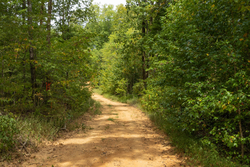 property photo for Big White Oak Tract 62, 9.28 acres for sale in Perry County, Tennessee