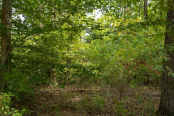 property photo for Big White Oak Tract 62, 9.28 acres for sale in Perry County, Tennessee