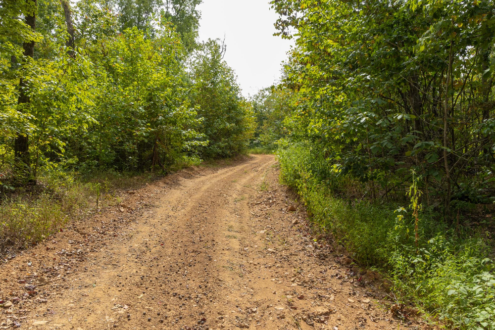 9.28 acre rural land tract for sale at Big White Oak Tract 62 in Perry County, Tennessee
