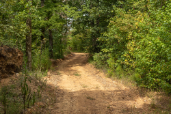 property photo for Big White Oak Tract 63, 14.52 acres for sale in Perry County, Tennessee