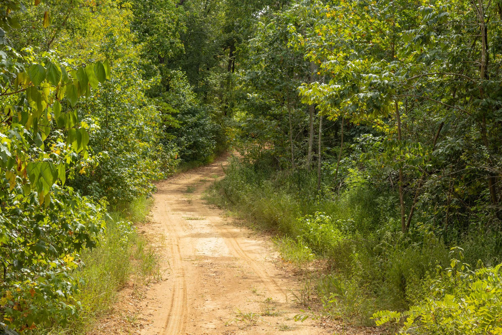 14.52 acre rural land tract for sale at Big White Oak Tract 63 in Perry County, Tennessee
