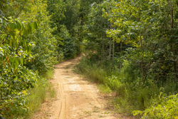 property photo for Big White Oak Tract 63, 14.52 acres for sale in Perry County, Tennessee