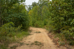 property photo for Big White Oak Tract 65, 7.15 acres for sale in Perry County, Tennessee