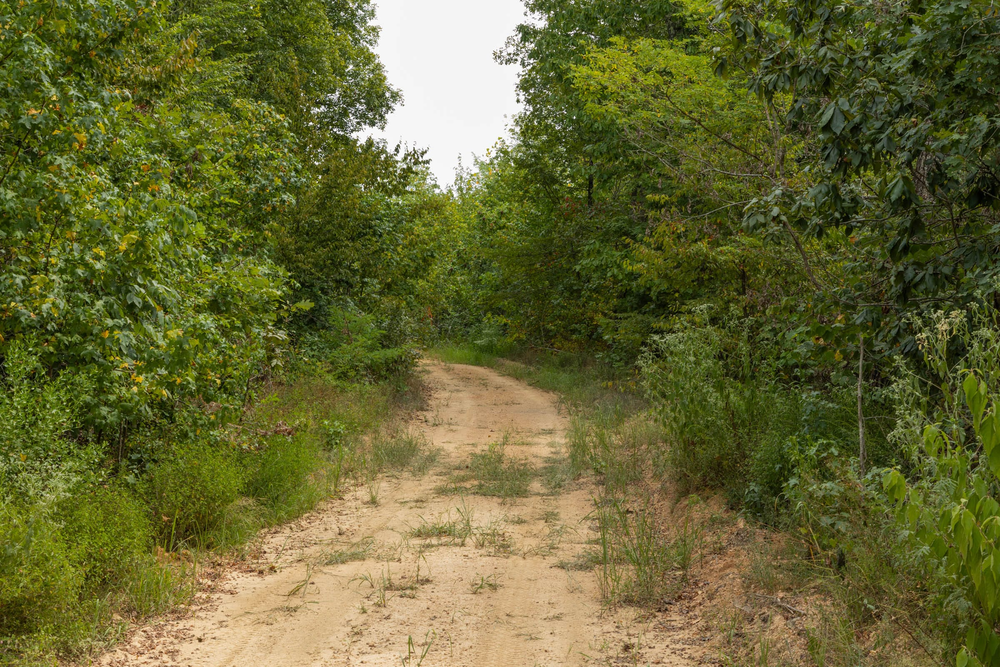 7.15 acre rural land tract for sale at Big White Oak Tract 65 in Perry County, Tennessee