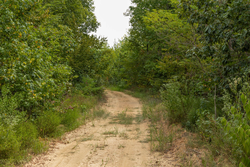 property photo for Big White Oak Tract 65, 7.15 acres for sale in Perry County, Tennessee