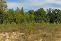 property photo for Big White Oak Tract 67, 8.71 acres for sale in Perry County, Tennessee
